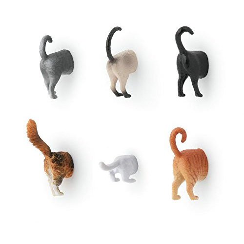 41CDUN2sm9L Kikkerland Cat Butt Magnets