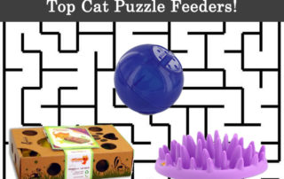 top cat puzzle feeders