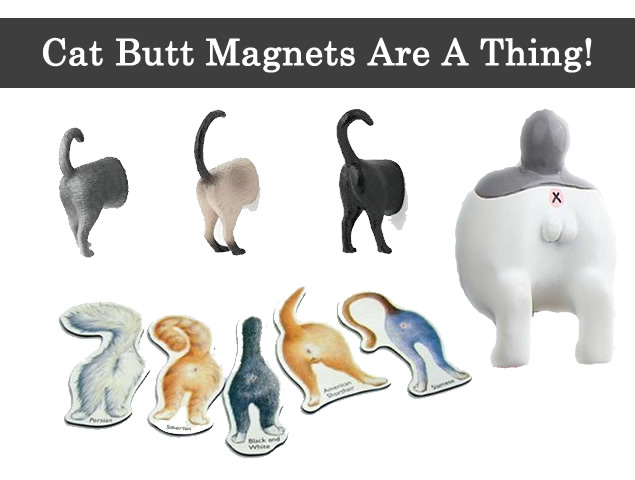 Cat Butt Magnets Are A Thing!
