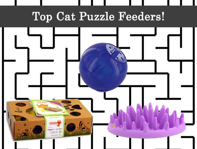 Top Cat Puzzle Feeders